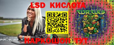 прущие грибы Малоярославец