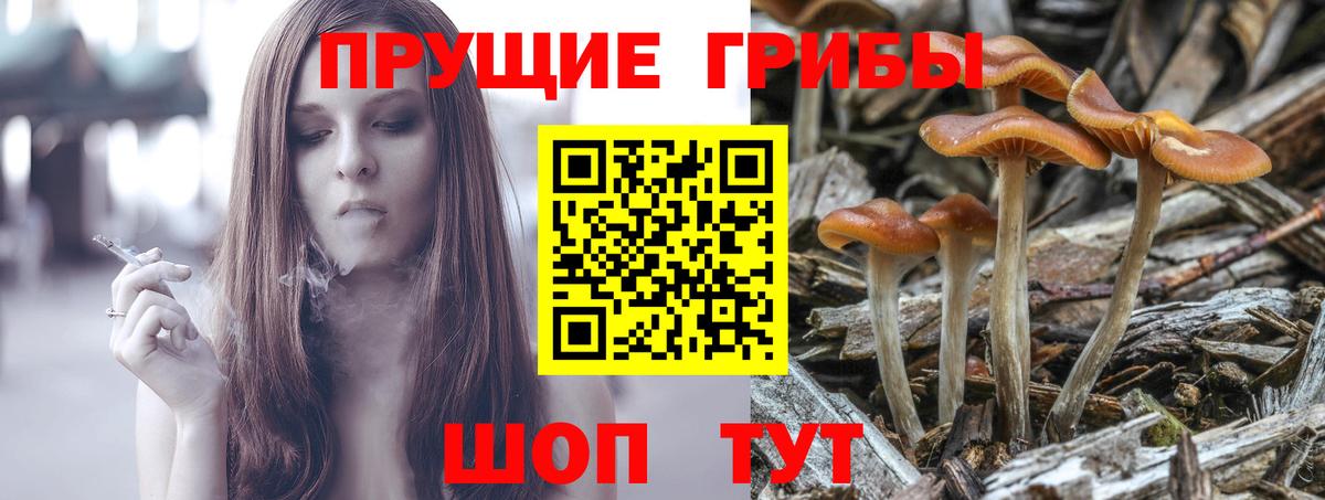 Галлюциногенные грибы прущие грибы Ялта