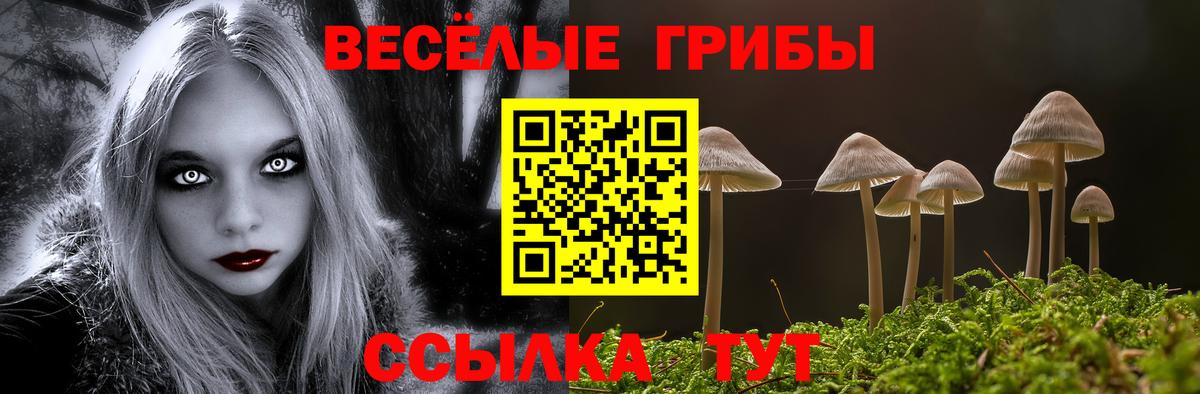 Ялта  Галлюциногенные грибы Psilocybine cubensis  цены   Вход с VPN 